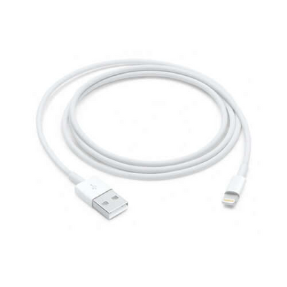 Apple Lightning to USB Cable (1m)