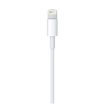 Apple Lightning to USB Cable (1m)