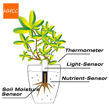 HHCC Flora Monitor Garden Care